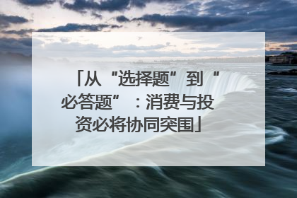 从“选择题”到“必答题”：消费与投资必将协同突围