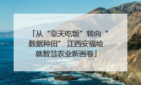 从“靠天吃饭”转向“数据种田” 江西安福绘就智慧农业新画卷