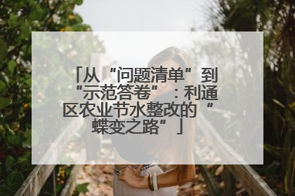 从“问题清单”到“示范答卷”：利通区农业节水整改的“蝶变之路”