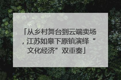 从乡村舞台到云端卖场，江苏如皋下原镇演绎“文化经济”双重奏