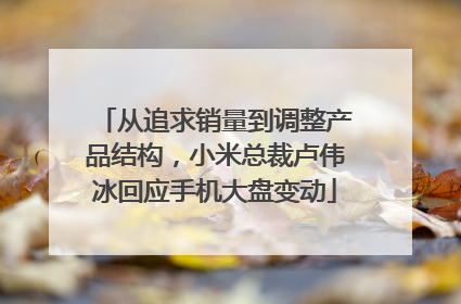 从追求销量到调整产品结构，小米总裁卢伟冰回应手机大盘变动