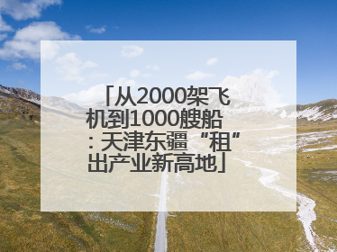 从2000架飞机到1000艘船：天津东疆“租”出产业新高地
