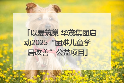 以爱筑巢 华茂集团启动2025“困难儿童学居改善”公益项目