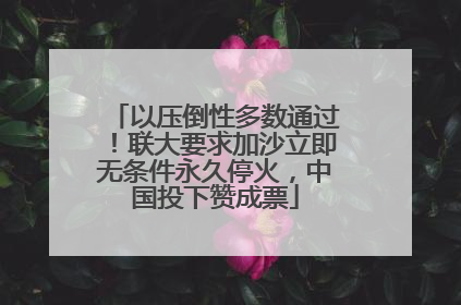 以压倒性多数通过！联大要求加沙立即无条件永久停火，中国投下赞成票