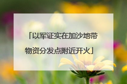 以军证实在加沙地带物资分发点附近开火