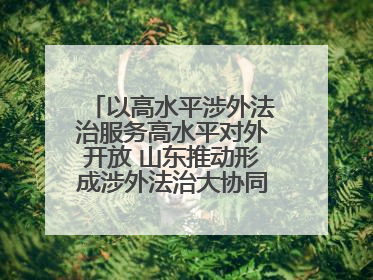 以高水平涉外法治服务高水平对外开放 山东推动形成涉外法治大协同工作格局