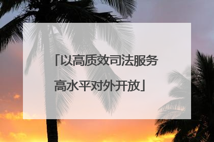 以高质效司法服务高水平对外开放
