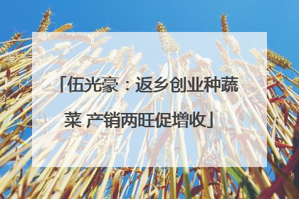 伍光豪：返乡创业种蔬菜 产销两旺促增收