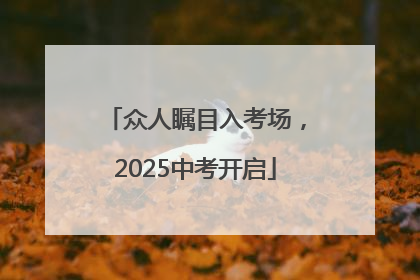 众人瞩目入考场，2025中考开启