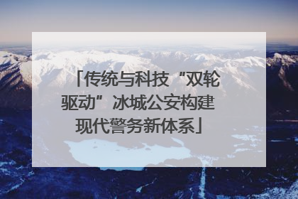 传统与科技“双轮驱动”冰城公安构建现代警务新体系