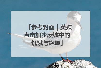 参考封面｜英媒直击加沙废墟中的饥饿与绝望