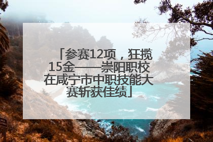 参赛12项，狂揽15金——崇阳职校在咸宁市中职技能大赛斩获佳绩