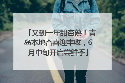 又到一年甜杏熟！青岛本地杏喜迎丰收，6月中旬开启尝鲜季