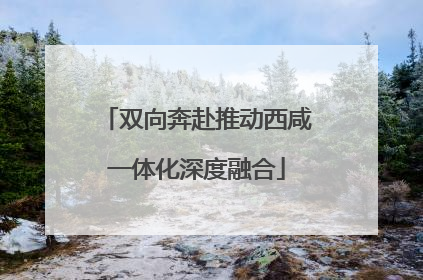 双向奔赴推动西咸一体化深度融合