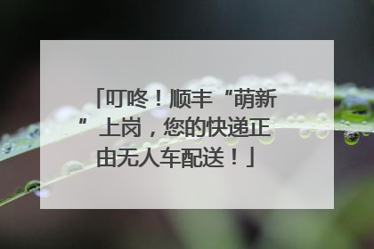 叮咚！顺丰“萌新”上岗，您的快递正由无人车配送！