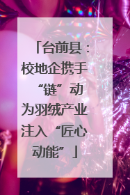 台前县：校地企携手“链”动 为羽绒产业注入“匠心动能”