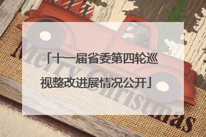 十一届省委第四轮巡视整改进展情况公开
