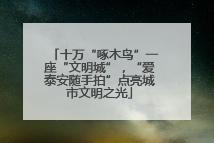 十万“啄木鸟”一座“文明城”，“爱泰安随手拍”点亮城市文明之光