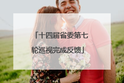 十四届省委第七轮巡视完成反馈