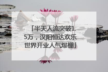 半天人流突破1.5万，汉阳恒达欢乐世界开业人气爆棚