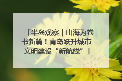 半岛观察｜山海为卷书新篇！青岛跃升城市文明建设“新航线”
