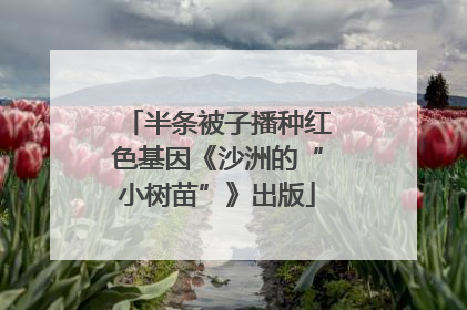 半条被子播种红色基因《沙洲的“小树苗”》出版