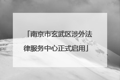 南京市玄武区涉外法律服务中心正式启用