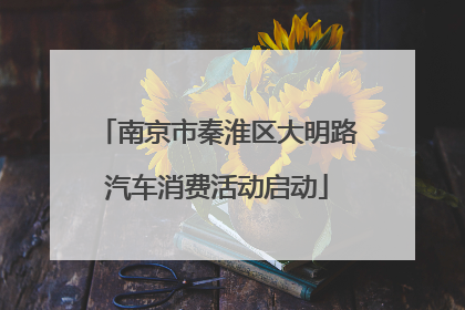 南京市秦淮区大明路汽车消费活动启动