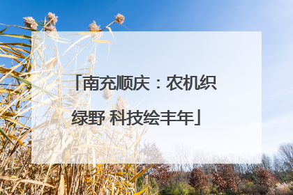 南充顺庆：农机织绿野 科技绘丰年
