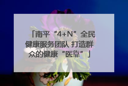 南平“4+N”全民健康服务团队 打造群众的健康“医靠”