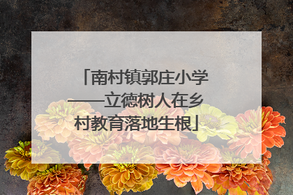 南村镇郭庄小学——立德树人在乡村教育落地生根