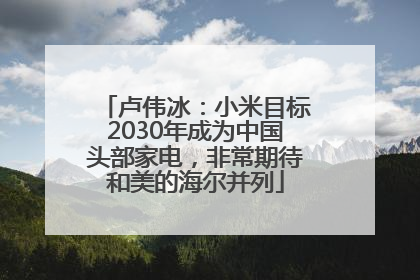 卢伟冰：小米目标2030年成为中国头部家电，非常期待和美的海尔并列