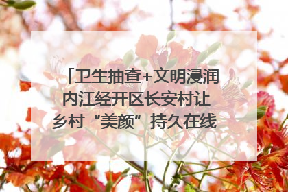 卫生抽查+文明浸润 内江经开区长安村让乡村“美颜”持久在线｜万千气象看四川