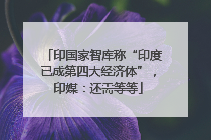 印国家智库称“印度已成第四大经济体”，印媒：还需等等