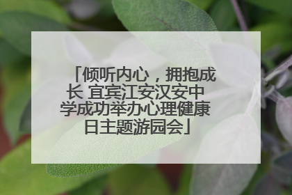 倾听内心，拥抱成长 宜宾江安汉安中学成功举办心理健康日主题游园会