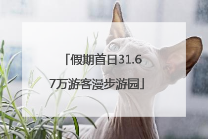 假期首日31.67万游客漫步游园