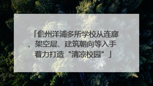儋州洋浦多所学校从连廊、架空层、建筑朝向等入手 着力打造“清凉校园”