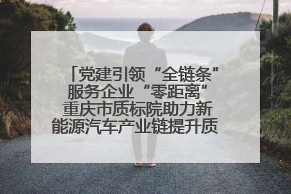 党建引领“全链条” 服务企业“零距离” 重庆市质标院助力新能源汽车产业链提升质量管理水平