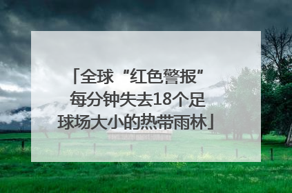 全球“红色警报”  每分钟失去18个足球场大小的热带雨林