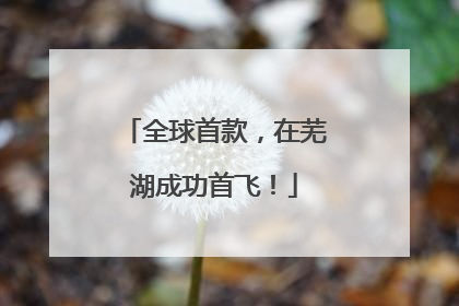 全球首款，在芜湖成功首飞！