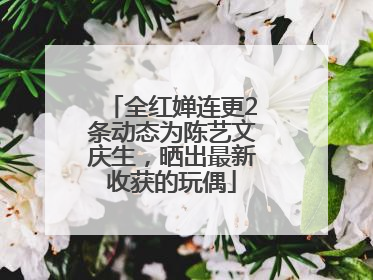 全红婵连更2条动态为陈艺文庆生，晒出最新收获的玩偶