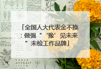 全国人大代表金不换：做强“‘豫’见未来”未检工作品牌
