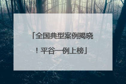 全国典型案例揭晓！平谷一例上榜