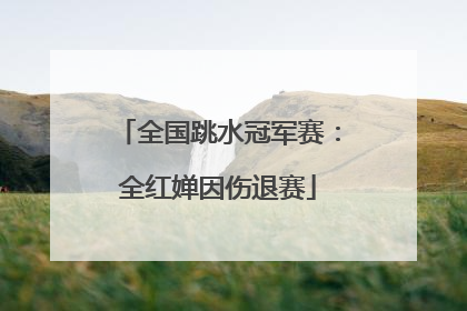 全国跳水冠军赛：全红婵因伤退赛