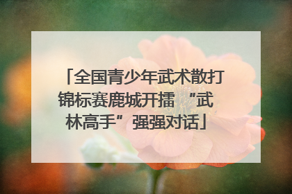 全国青少年武术散打锦标赛鹿城开擂 “武林高手”强强对话