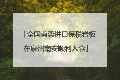 全国首票进口保税岩板在泉州南安顺利入仓