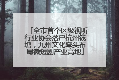 全市首个区级视听行业协会落户杭州钱塘，九州文化牵头布局微短剧产业高地