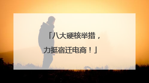 八大硬核举措，力挺宿迁电商！