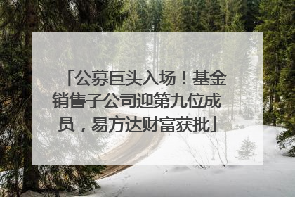 公募巨头入场！基金销售子公司迎第九位成员，易方达财富获批