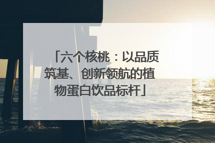 六个核桃：以品质筑基、创新领航的植物蛋白饮品标杆